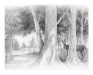 deer_low