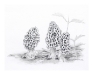 morels_low