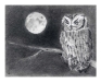 owl_low