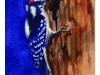 woodpecker_low